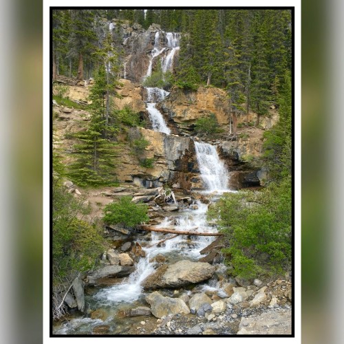 Tangled Falls