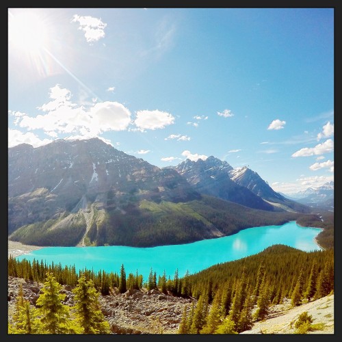 Lake Peyto