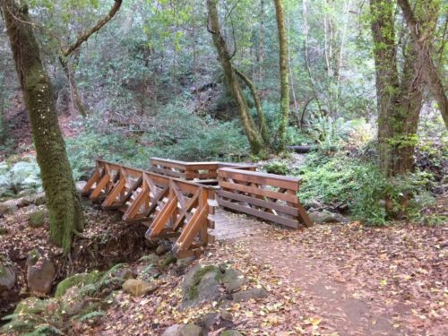The bridge over Sanborn Creek at Sanborn County Park near Saratoga is one of the picture-worthy locations that's part of Santa Clara County Parks' #PixInParks Challenge, which started Jan. 9, 2017 and runs through Dec. 1. (Photo courtesy Santa Clara County Parks Department)